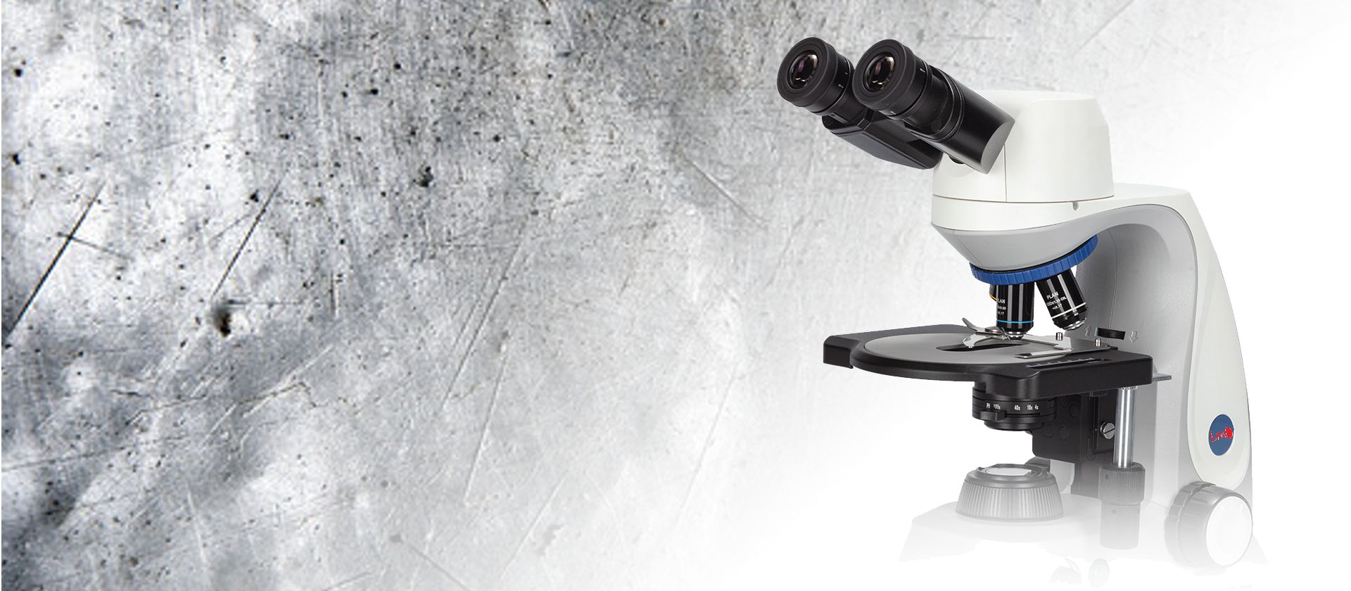 BM-X2 upright biological microscope