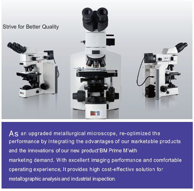Bright-field microscopy image
