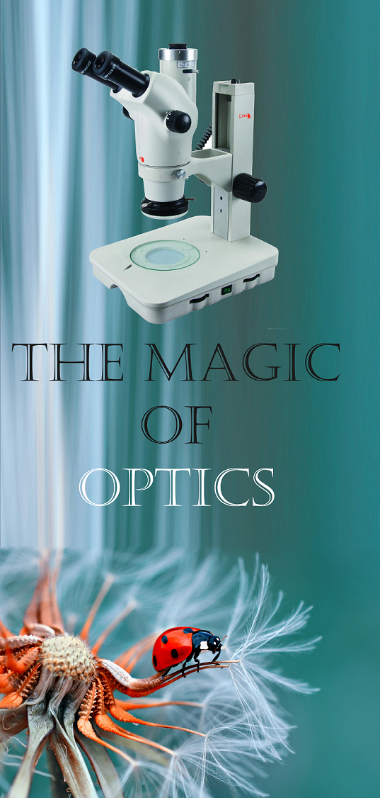 Stereo zoom microscope for specimen handling